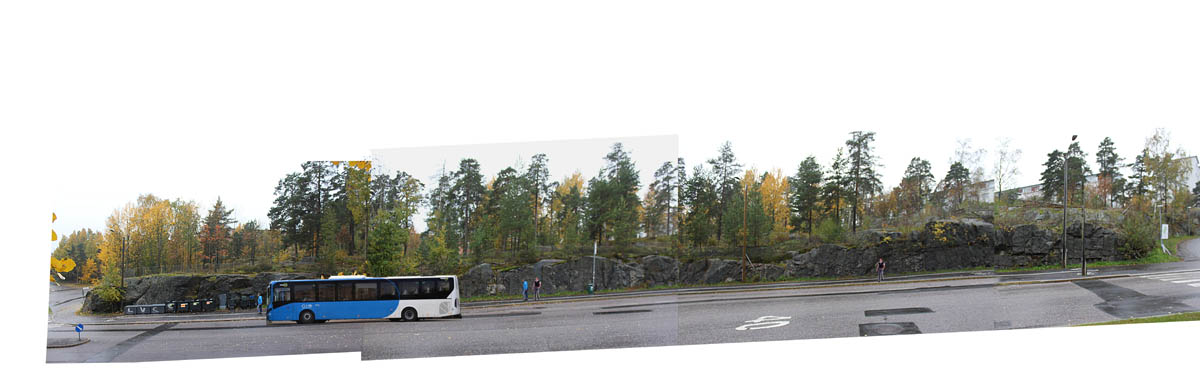 Reiherintie